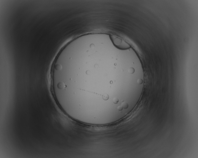 X0000100961095200806241138