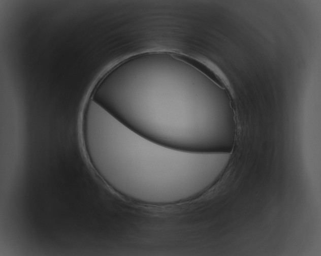 X0000100961096200806241138