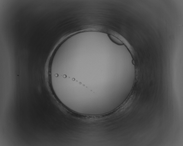 X0000100961099200806241138