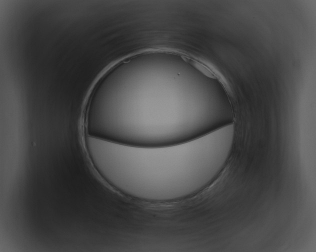 X0000100961100200806241138