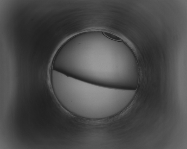 X0000100961102200806241138