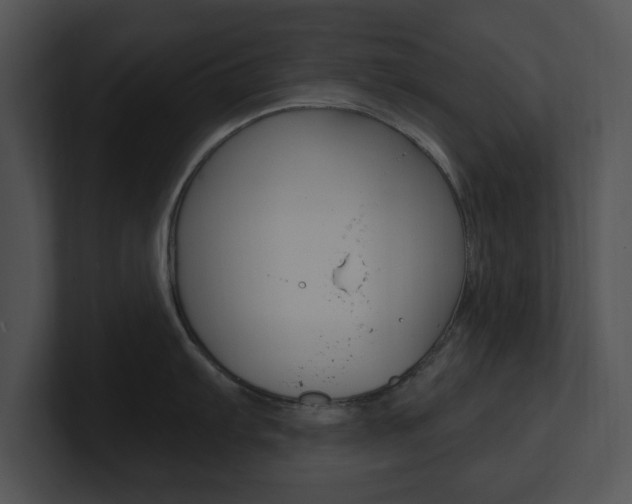 X0000100961103200806241138