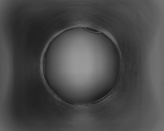 X0000100961104200806241138