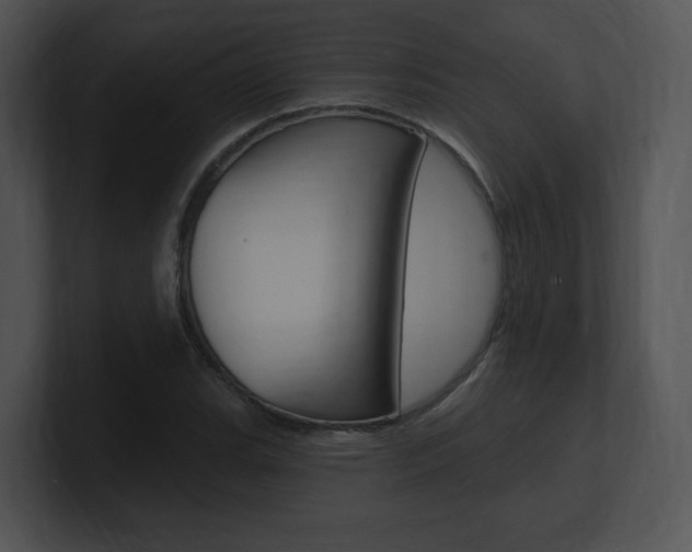 X0000100961119200806241138