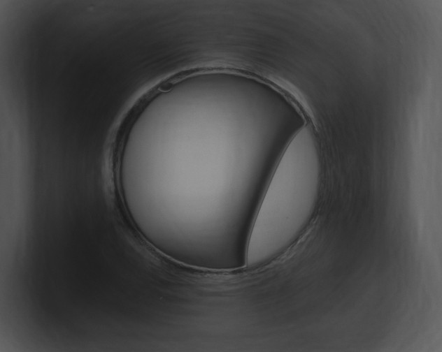 X0000100961120200806241138