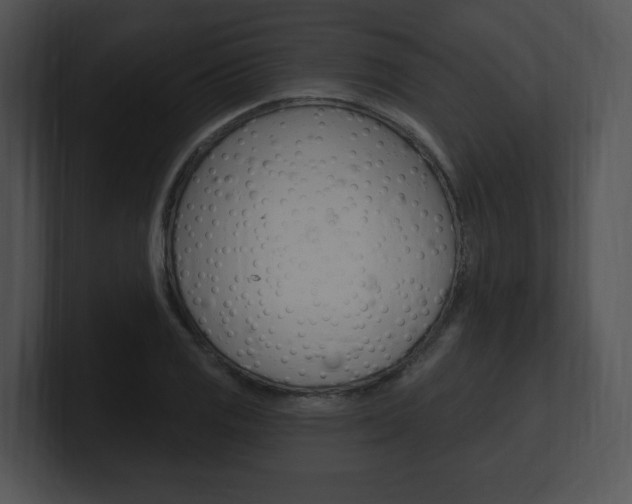 X0000100961125200806241138