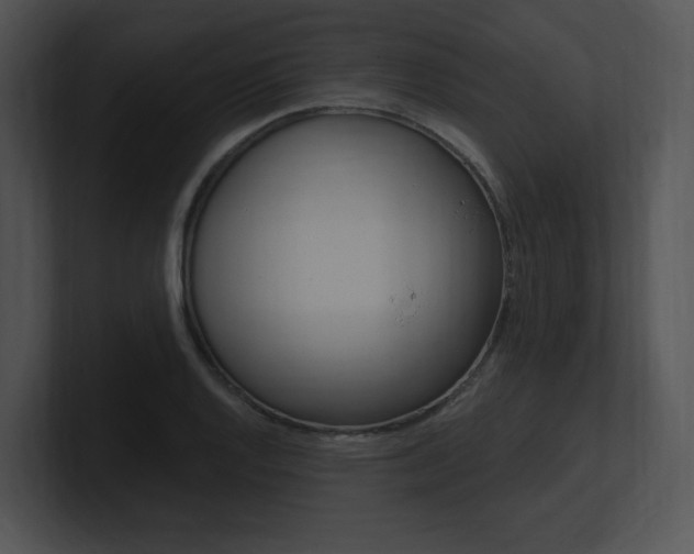 X0000100961128200806241138