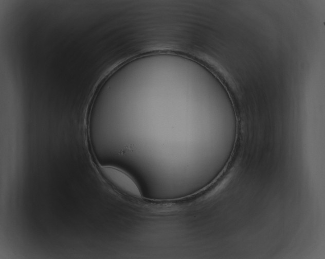 X0000100961129200806241138