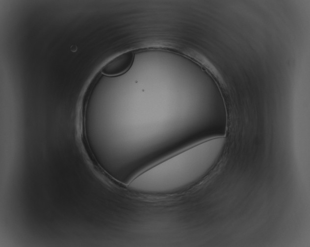 X0000100961132200806241138
