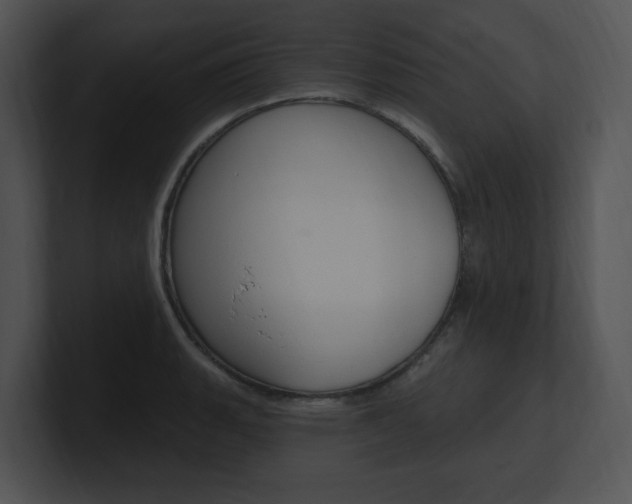 X0000100961135200806241138