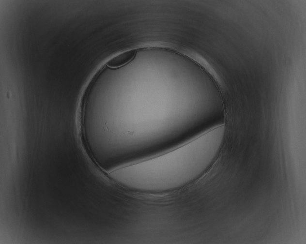 X0000100961140200806241138