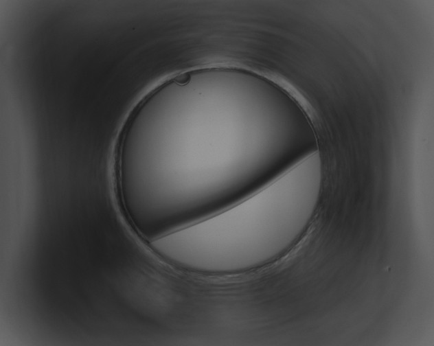 X0000100961142200806241138