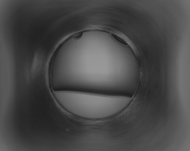 X0000100961143200806241138