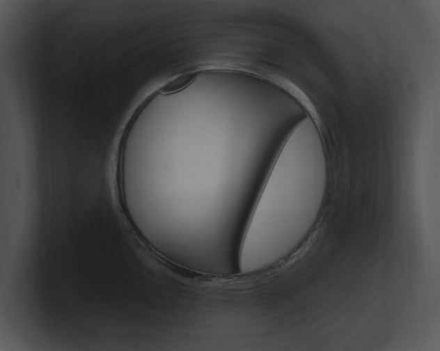 X0000100961146200806241138