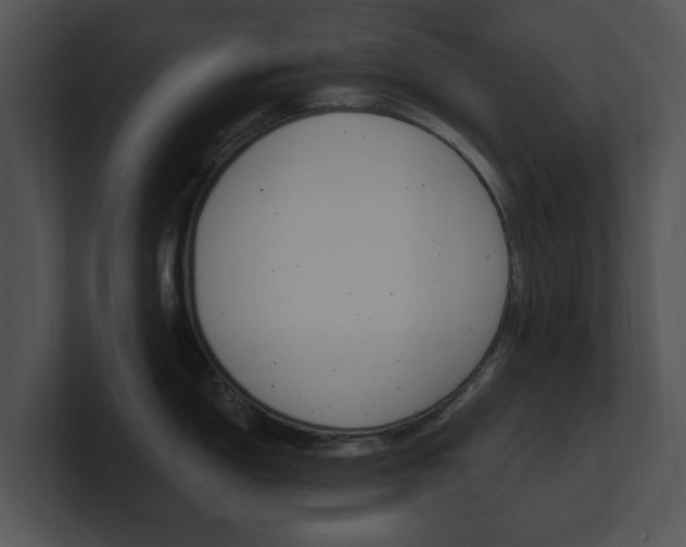 X0000100961150200806241138