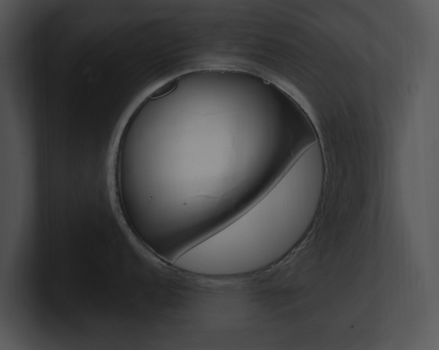 X0000100961152200806241138
