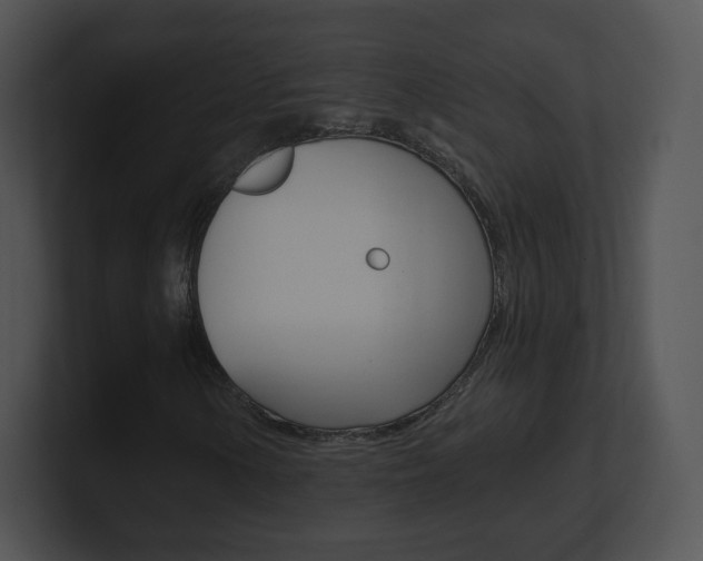 X0000100961154200806241137