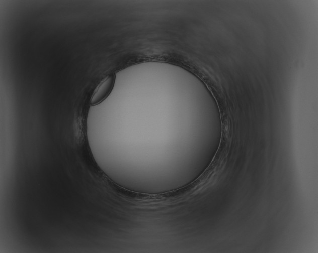 X0000100961156200806241137