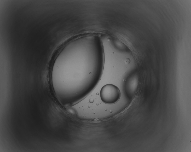 X0000100961164200806241137