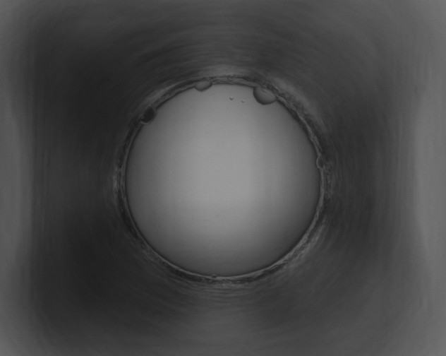 X0000100961169200806241137