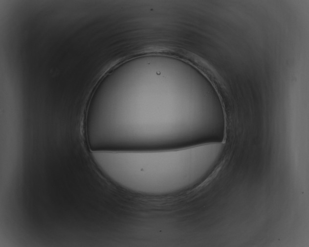 X0000100961177200806241137