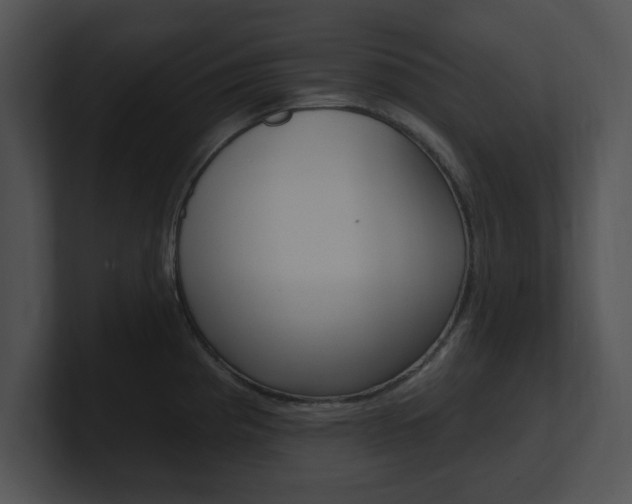 X0000100961193200806241137