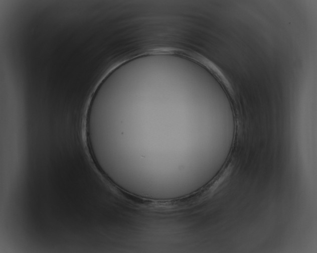 X0000100961194200806241137