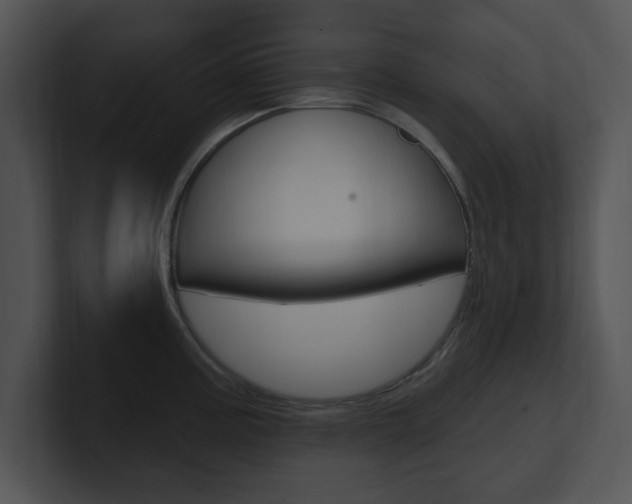 X0000100961195200806241137