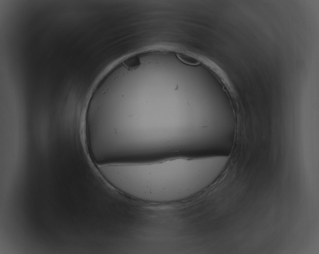 X0000100961199200806241137