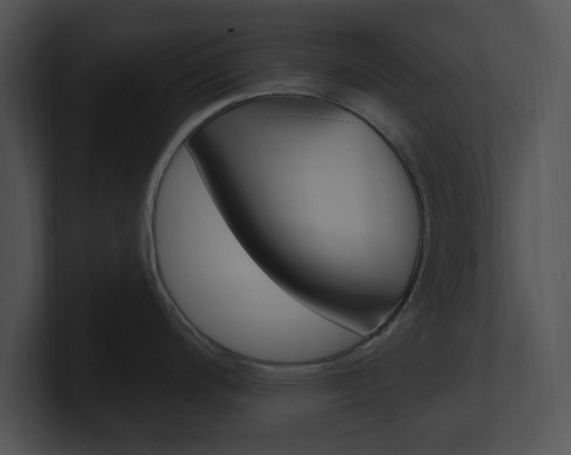 X0000100961200200806241137