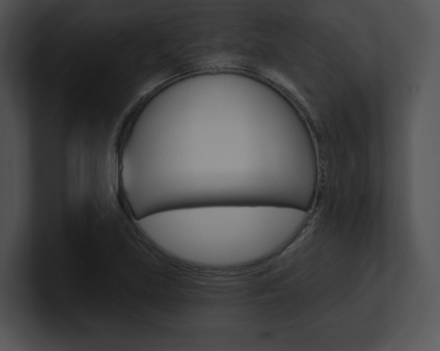 X0000100961219200806241136