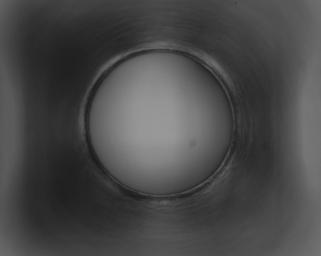 X0000100961230200806241136