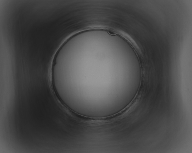 X0000100961236200806241137