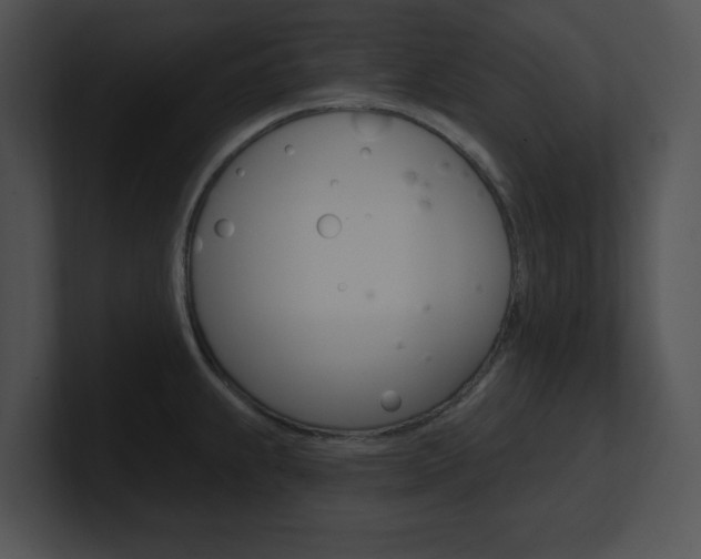 X0000100961239200806241137
