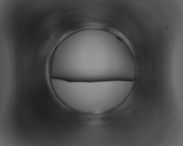 X0000100961243200806241137