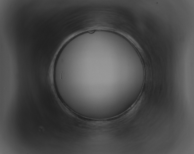 X0000100961246200806241137