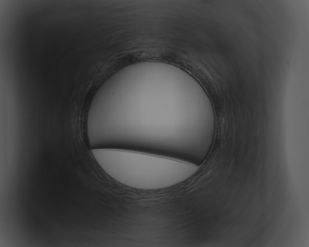 X0000100961250200806241136