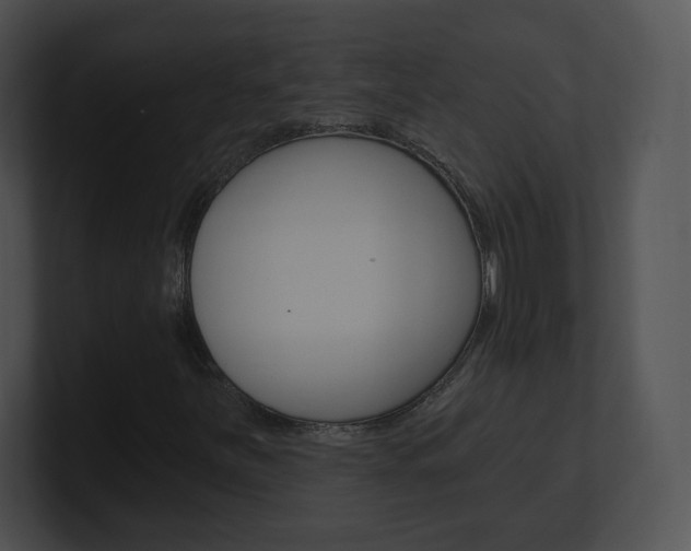 X0000100961251200806241136