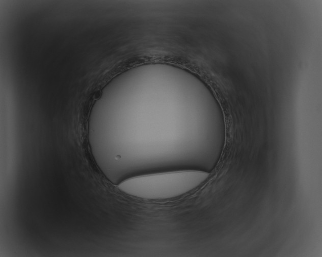 X0000100961253200806241136