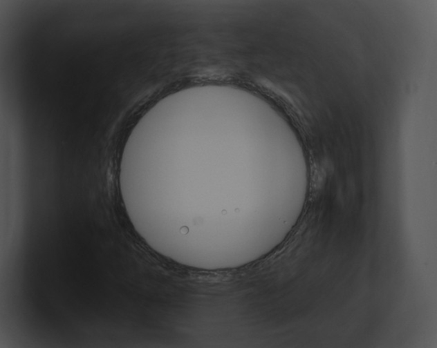 X0000100961254200806241136