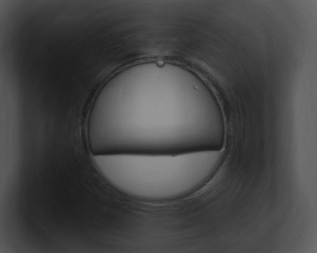 X0000100961257200806241136