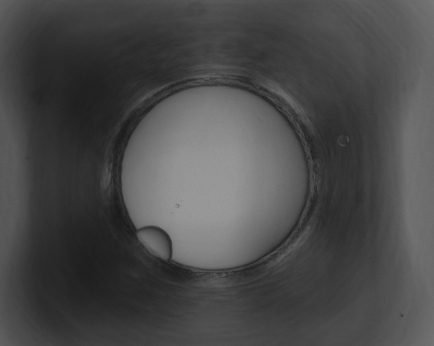 X0000100961259200806241136