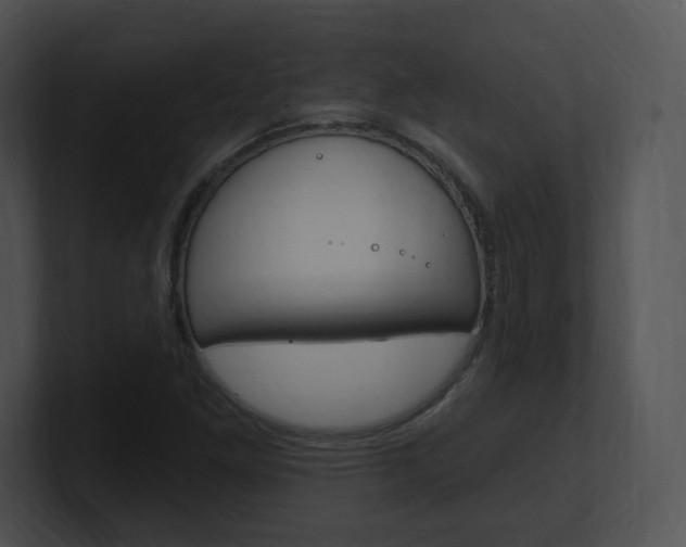 X0000100961261200806241136