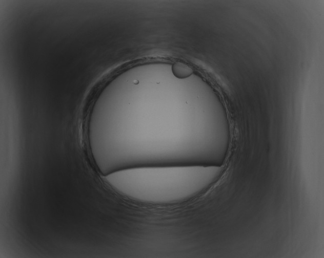 X0000100961262200806241136