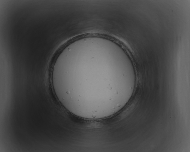 X0000100961263200806241136