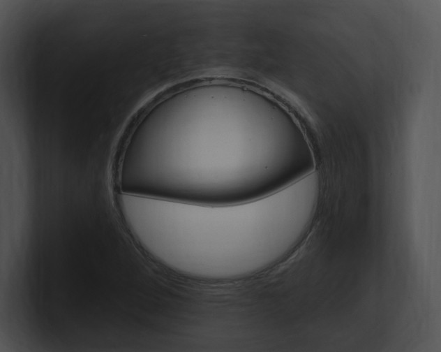 X0000100961264200806241136