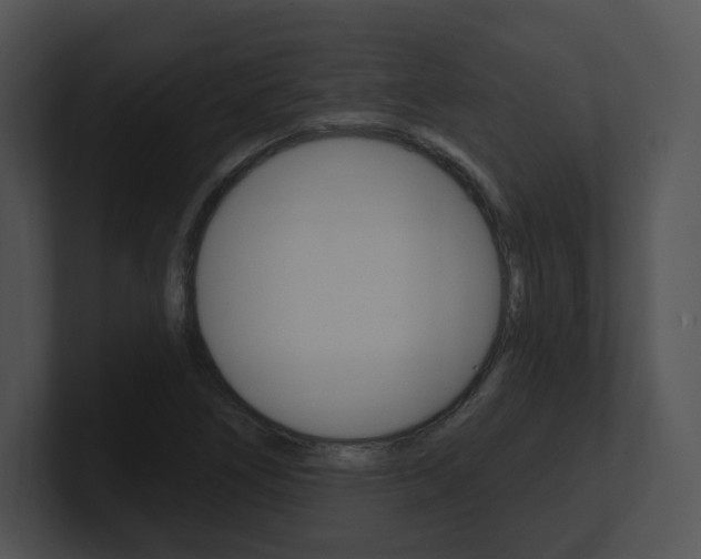 X0000100961266200806241136
