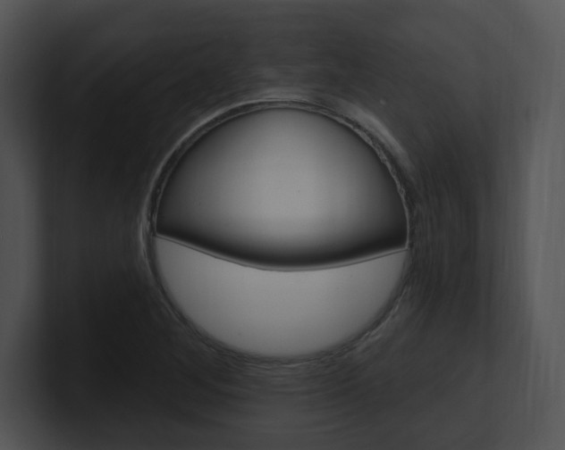 X0000100961268200806241136