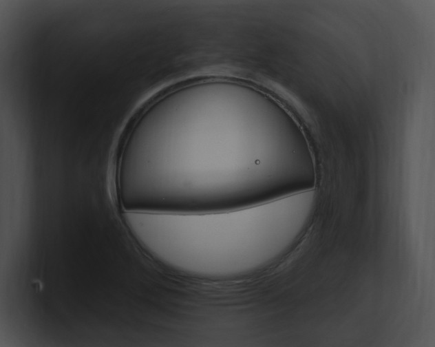X0000100961272200806241136