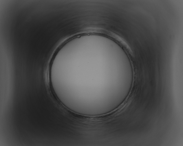 X0000100961275200806241136